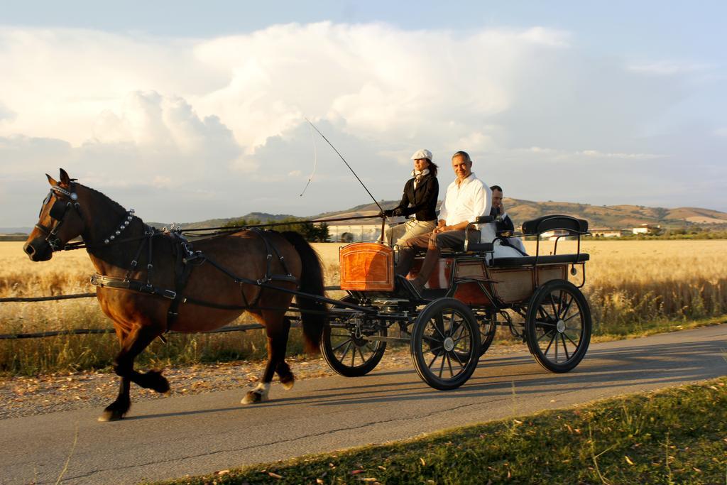 Agriturismo Giuncola & Granaiolo リスペシャ エクステリア 写真