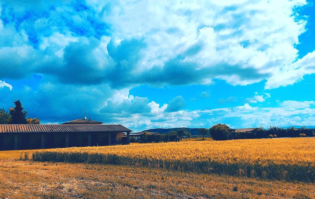 Agriturismo Giuncola & Granaiolo リスペシャ エクステリア 写真