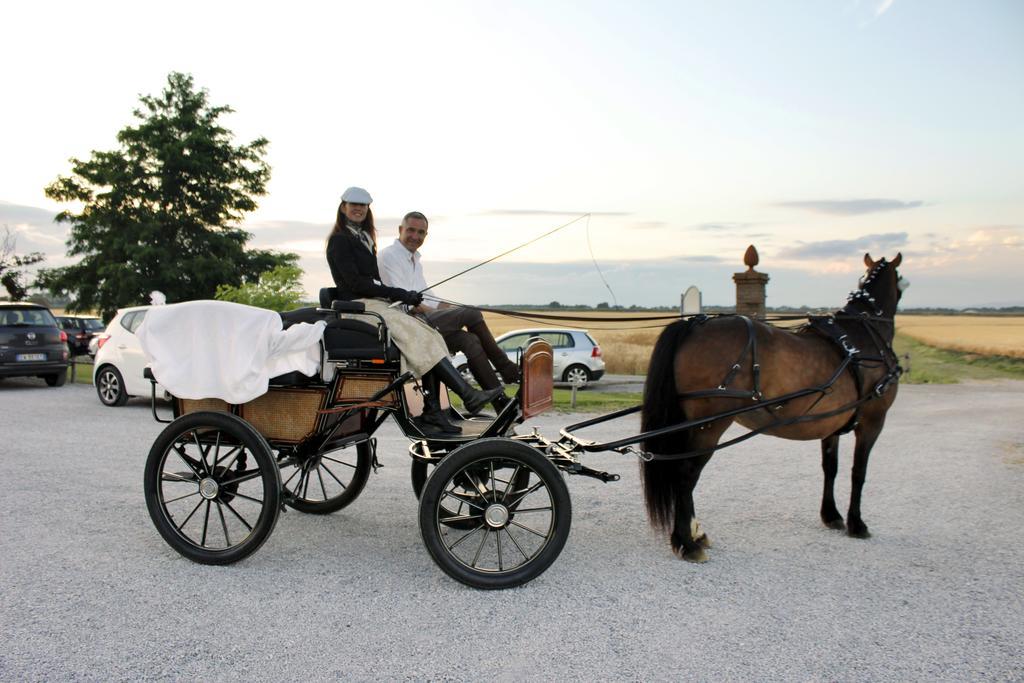 Agriturismo Giuncola & Granaiolo リスペシャ エクステリア 写真