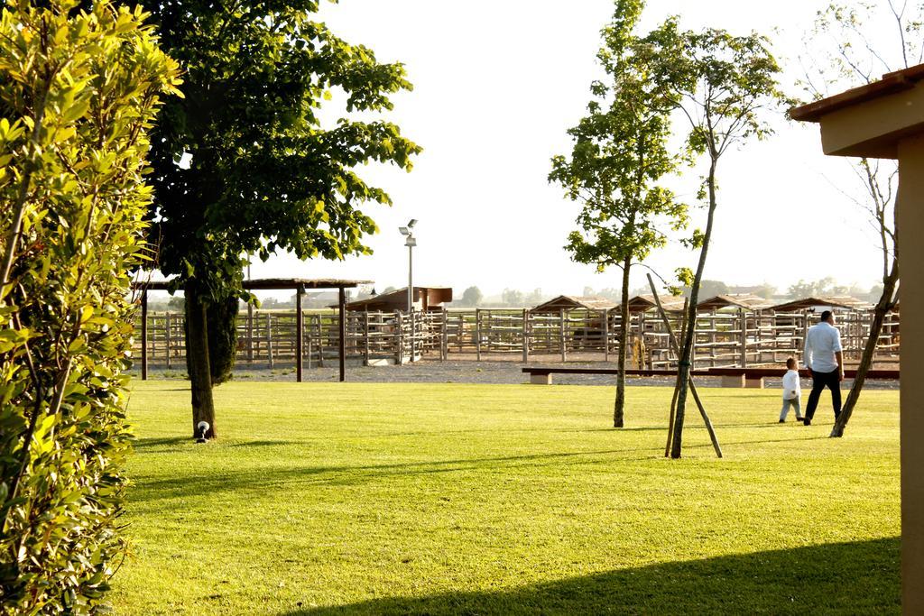 Agriturismo Giuncola & Granaiolo リスペシャ エクステリア 写真