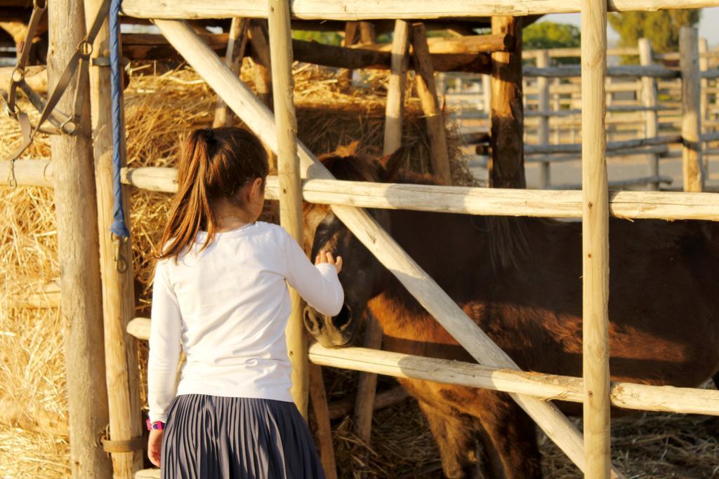 Agriturismo Giuncola & Granaiolo リスペシャ エクステリア 写真