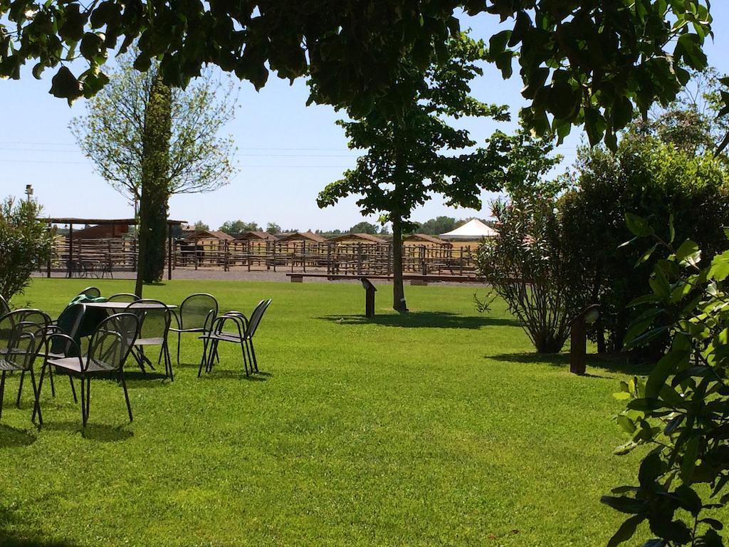 Agriturismo Giuncola & Granaiolo リスペシャ エクステリア 写真