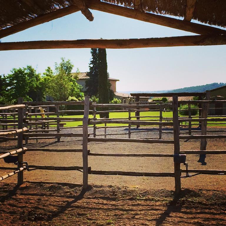 Agriturismo Giuncola & Granaiolo リスペシャ エクステリア 写真
