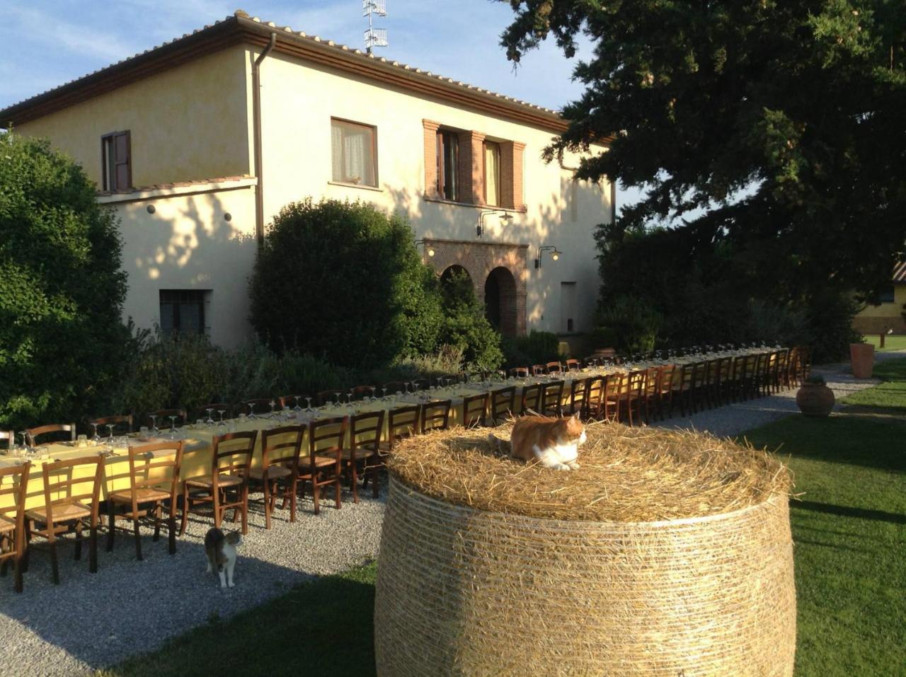 Agriturismo Giuncola & Granaiolo リスペシャ エクステリア 写真